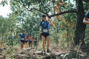 BIB: 
                            <button type="button" onclick="openModal(26114319)" class="btn btn-primary btn-sm float-right btn-popup" data-toggle="modal" data-target=".modal-high-quality">
                        <i class="fas fa-shopping-cart"></i> Add to Cart
                    </button>
                                            <button type="button" onclick="isThisMe(26114319, true)" class="btn btn-success btn-sm float-right btn-popup btn-isme hidden" data-toggle="tooltip" data-placement="bottom" title="นี่คือรูปของคุณใช่ไหม คลิกที่นี่เพื่อเอาเข้าอัลบั้ม">
                        <i class="fas fa-plus"></i> Add to album
                    </button>
                    <button type="button" onclick="isThisMe(26114319, false)" class="btn btn-warning btn-sm float-right btn-popup btn-isnotme hidden">
                        <i class="fas fa-ban"></i> Remove from album
                    </button>